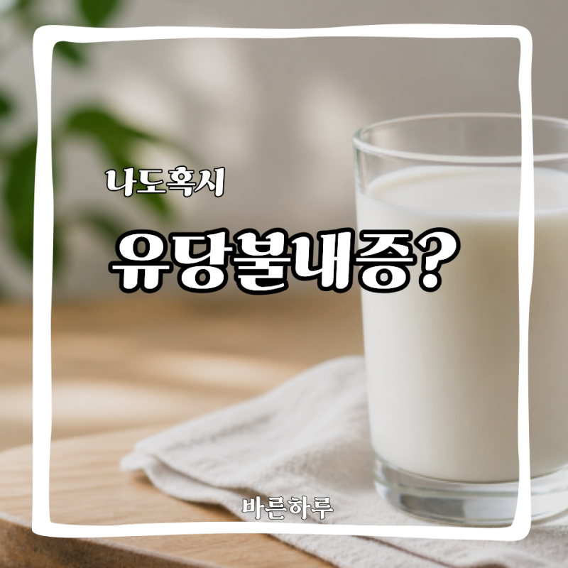 배 아프면 무조건 유당불내증? 비슷한 증상 때문에 헷갈렸어요