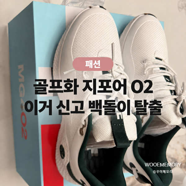 지포어 MG4+ O2 후기｜50만원 주고 갈아탔는데 백돌이 탈출함