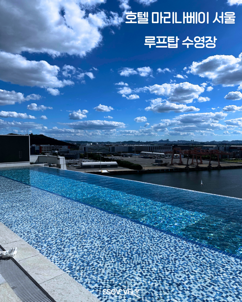 호텔 마리나베이 서울 루프탑 수영장 후기 아이와 이용해본 솔직한 후기+이용 팁