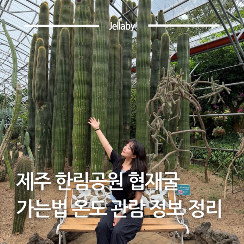 Jeju Hallim Park Hyeopjae Cave: Directions, Temperature, Pet-Friendly, Parking, and Discounted Admission Guide