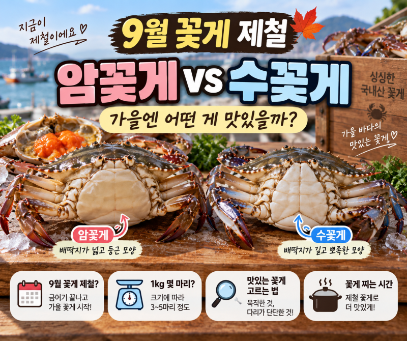 9월 꽃게 제철 맞을까? 암꽃게·수꽃게 차이부터 1kg 몇 마리까지