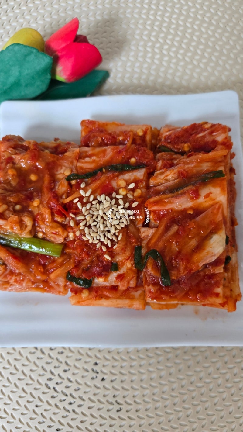 추석배추김치 만들기 배추절임과 김치양념레시피