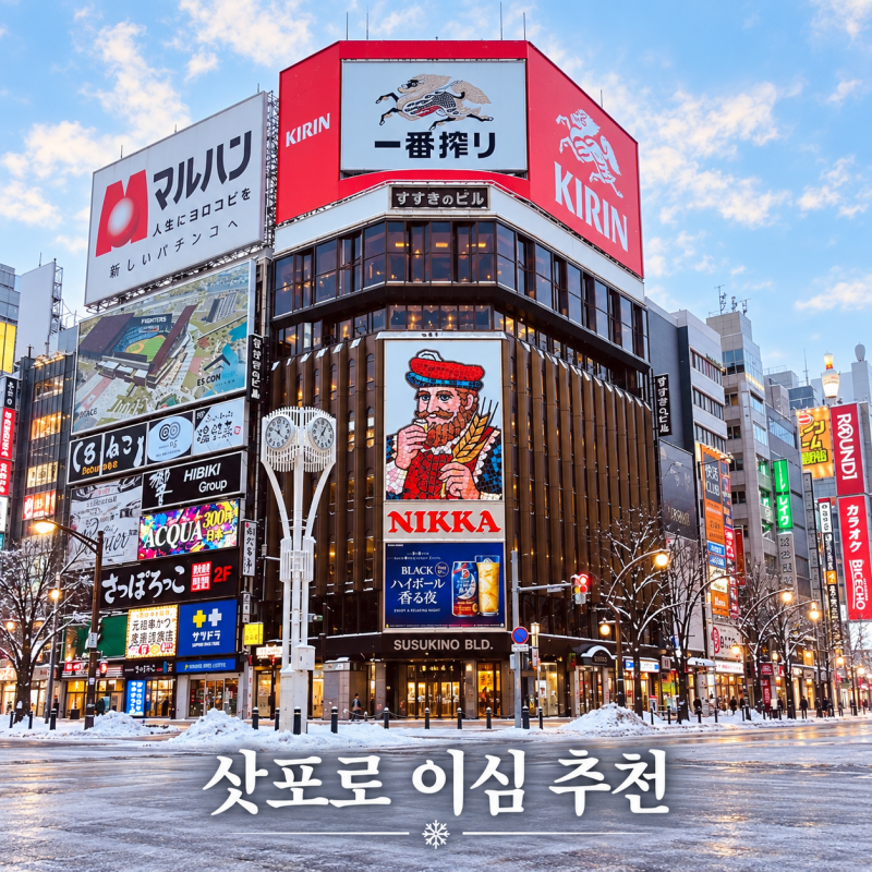 삿포로 이심 추천 데이터 무제한 가격, 비에이 오타루 홋카이도 사용 후기