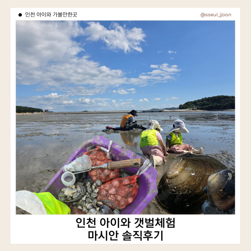 인천 영종도 마시안 갯벌체험｜아이와 다녀온 가격·주차·준비물 솔직후기