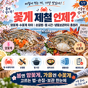 꽃게 제철 언제? 암꽃게·수꽃게 차이｜손질법·찜 시간·냉동보관까지 총정리
