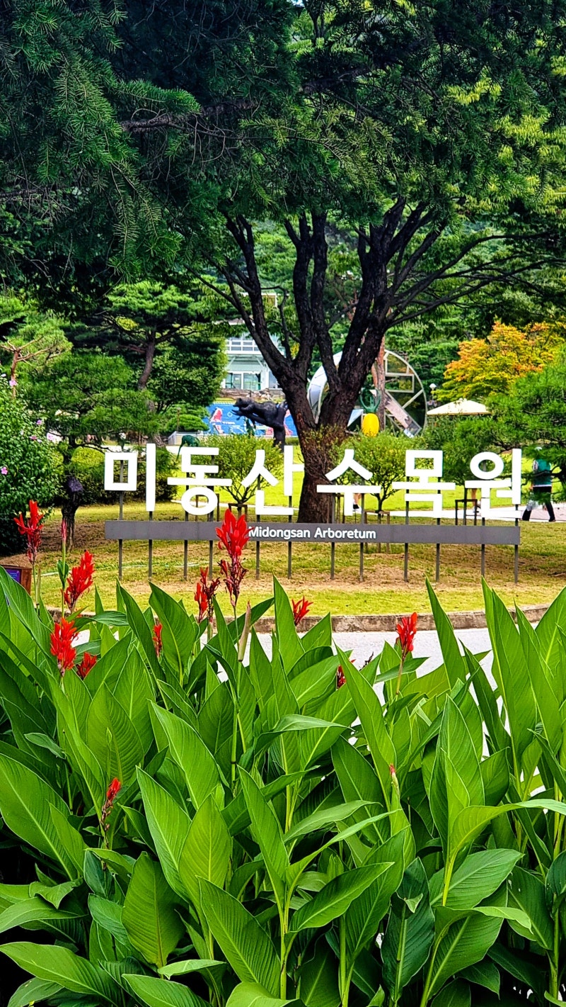 청주, 미동산수목원 9월 풍경