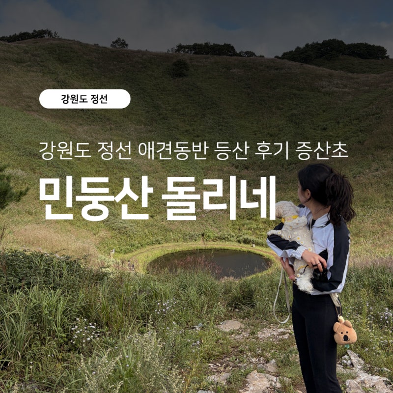 강원도 정선 [민둥산] 돌리네 증산초교 등산코스 소요시간 애견동반