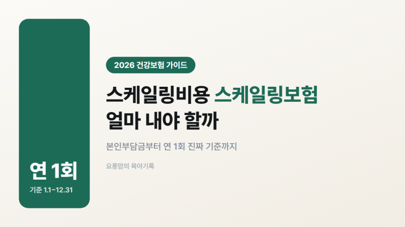 스케일링비용 스케일링보험 얼마? 연 1회 진짜 기준(2026년)