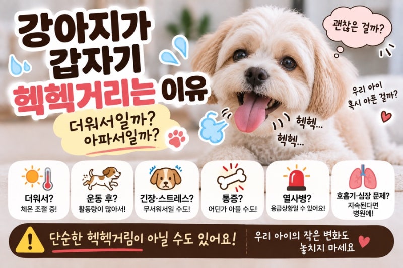 강아지가 갑자기 헥헥거리는 이유 더워서일까? 긴장해서일까? 건강 이상 신호일까?