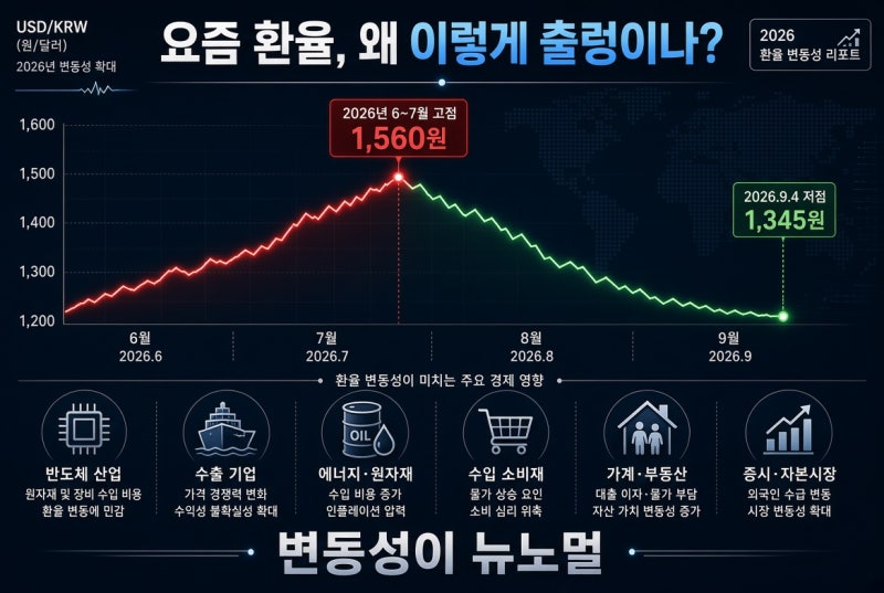 요즘 환율 왜 이렇게 변동이 심한가? 환율이 경제에 미치는 영향
