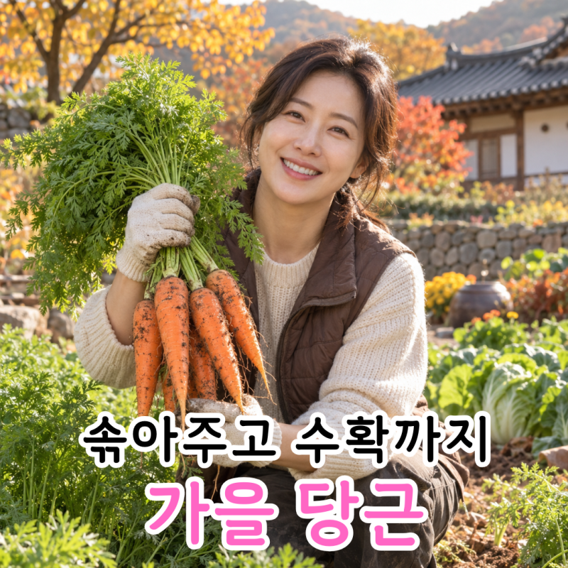 가을 당근 심는 시기와 간격, 솎아주기부터 수확까지