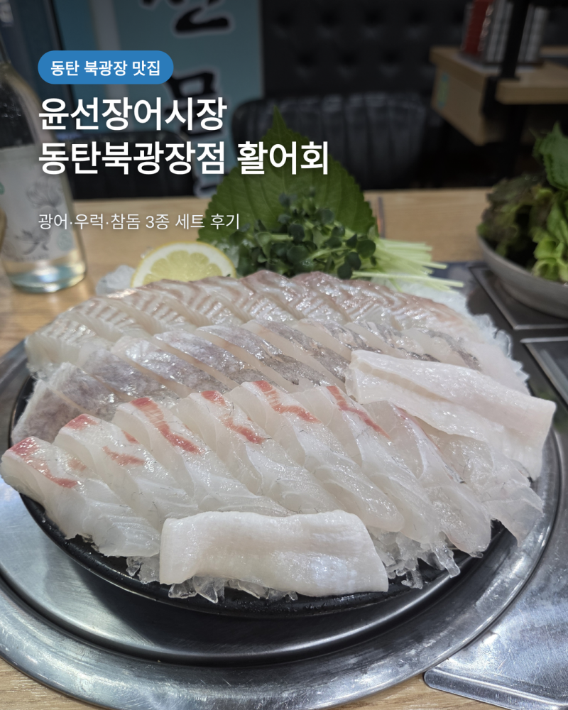 동탄 활어회 횟집추천 윤선장어시장 동탄북광장점