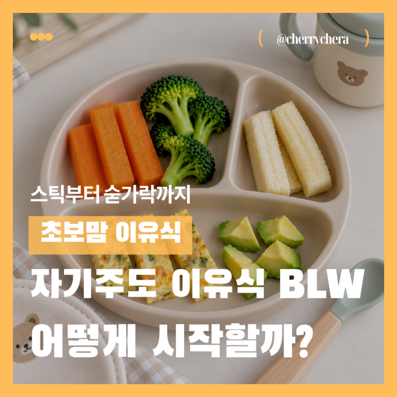BLW 자기주도 이유식이란? 스틱부터 숟가락까지 어떻게 시작할까