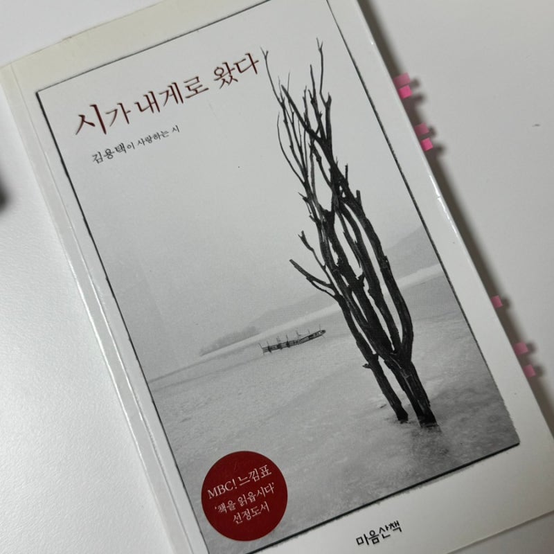 김용택이 사랑하는 시, [시가 내게로 왔다]