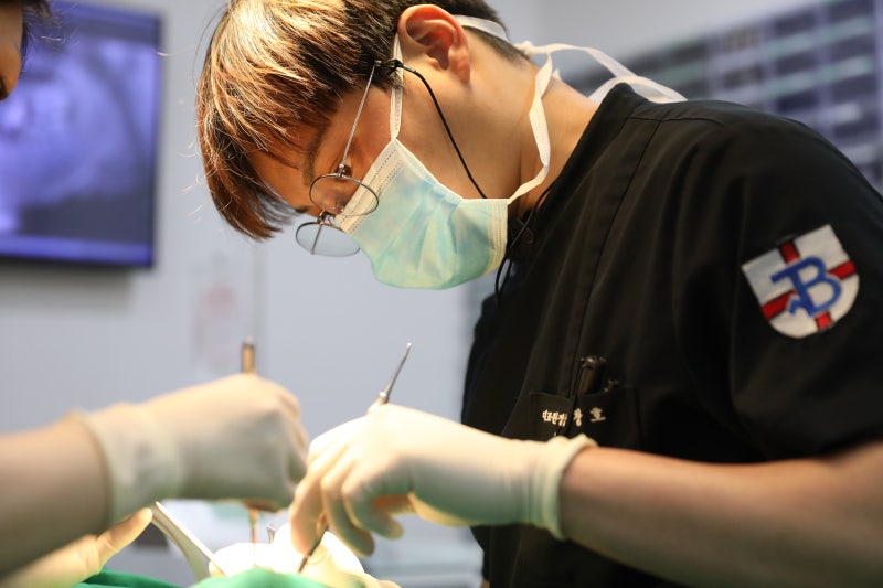 대전치아교정 교정치료 비용에 포함되는 항목 확인하기