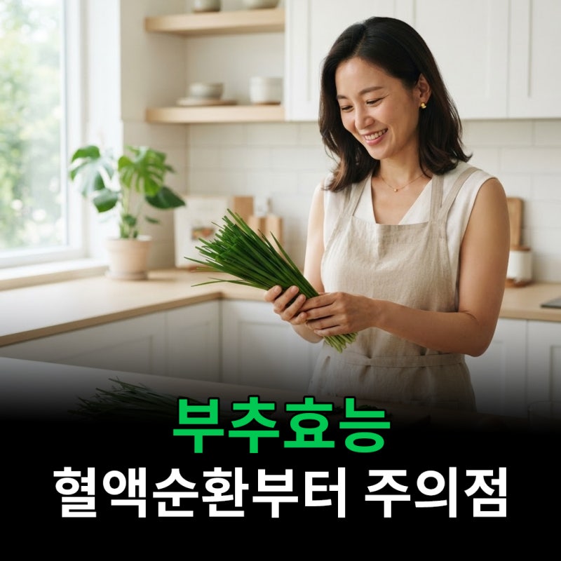 부추효능 혈액순환부터 주의점까지