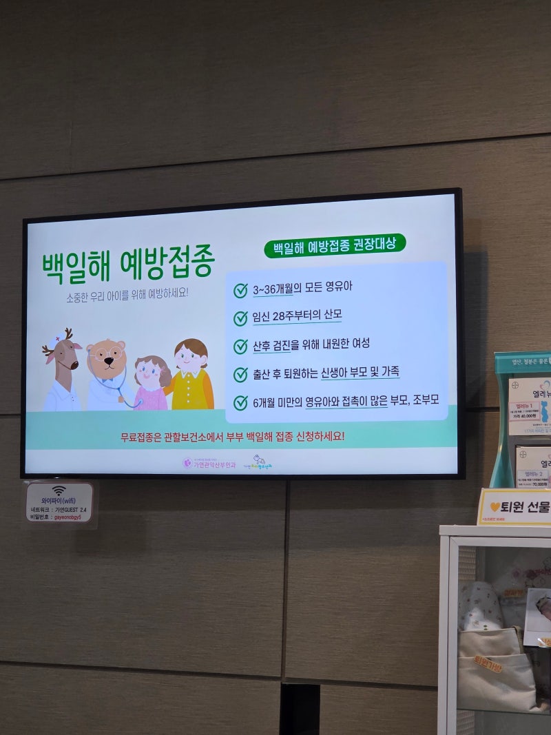 백일해 예방접종 가격 병원 가족 기간 시기 부작용