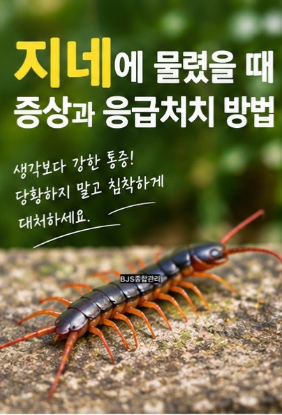 4편] 지네에 물렸을 때 증상과 올바른 응급처치 방법