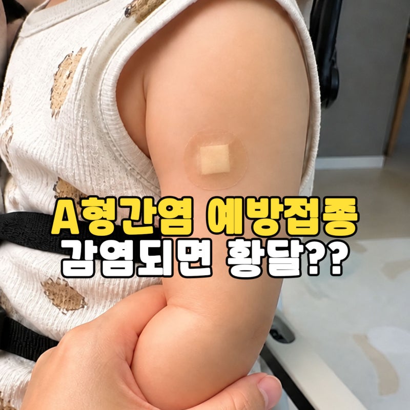 "감염되면 황달까지?" A형간염 예방접종 증상, 1차 2차 접종 간격은?