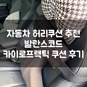 자동차 허리쿠션 추천, 발란스코드 카이로프랙틱 쿠션 장거리 운전 실사용 후기