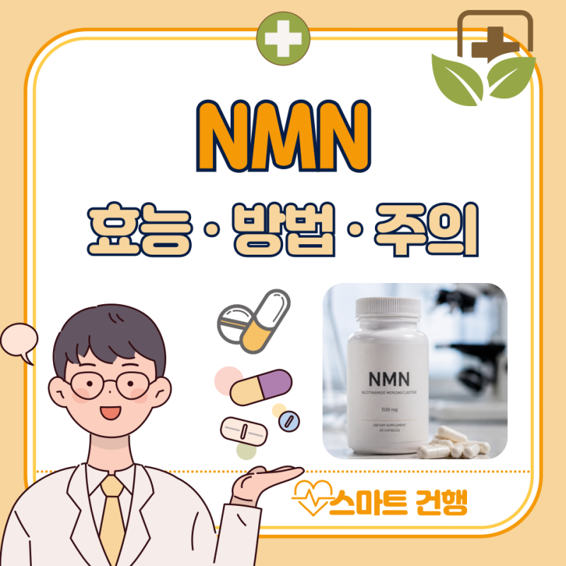NMN 효능 5가지, 부작용, 복용법 : NMN영양제