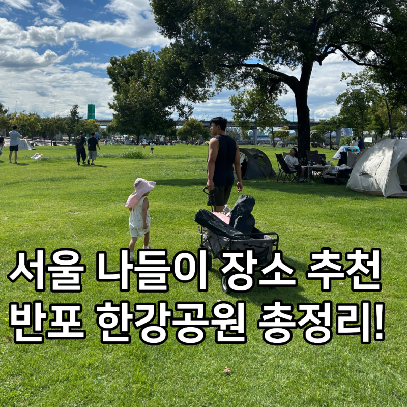 서울 아이와 함께 피크닉 나들이 장소 추천 반포 한강공원 주차 할인 분수 시간 푸드트럭 피....