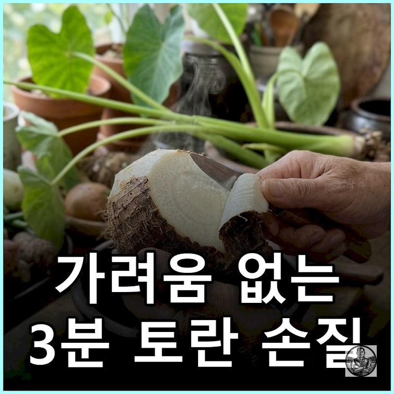 "맨손으로 깠다 밤새 긁었습니다" 토란 껍질 가려움 잡는 3분 데치기