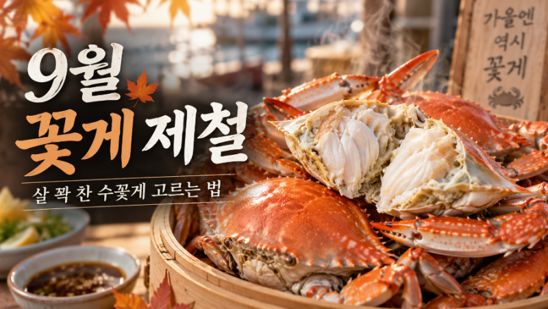 9월 꽃게 제철 시작｜살 꽉 찬 수꽃게 고르는 법·가격·찌는 시간 총정리