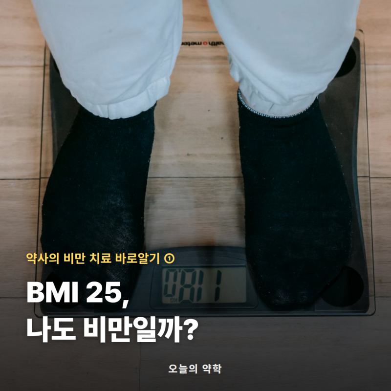BMI 25, 나도 비만일까? — 비만 1편