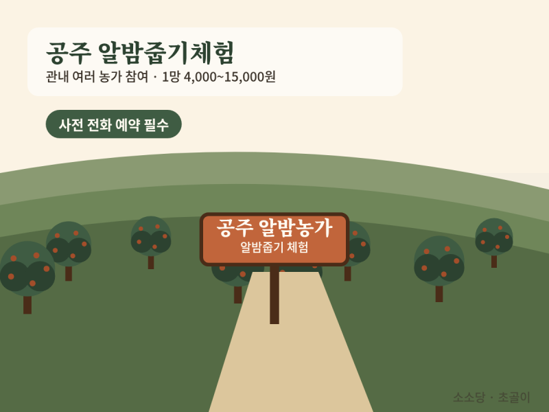 밤줍기체험 추천 총정리ㅣ공주 홍성 가격·예약·준비물