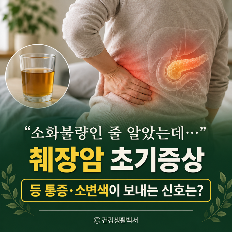 췌장암 초기증상 “소화불량인 줄 알았는데...” 등 통증·소변색이 보내는 신호는?