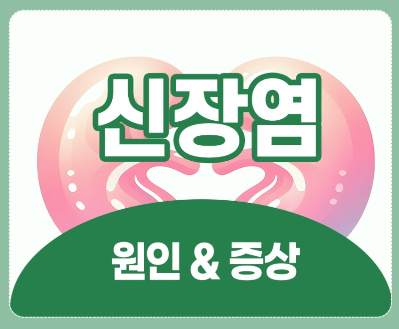 급성신장염 원인 파악과 신장염증상 자가진단 가이드 체내 필터를 지키는 골든타임 알아봐....