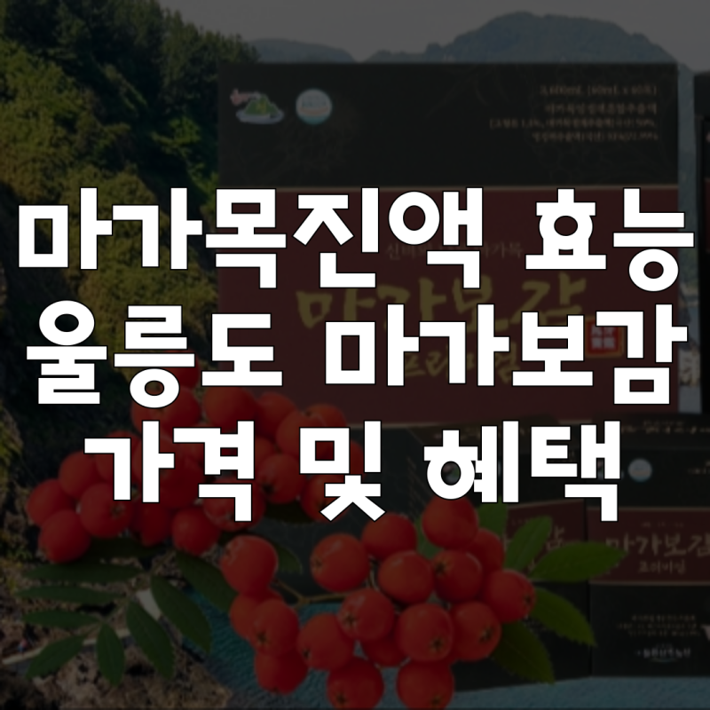 마가보감 프리미엄 가격 울릉도 마가목의 효능 후기