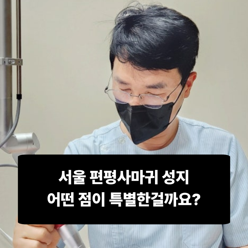 서울 편평사마귀 성지, 어떤 점이 특별한걸까요?