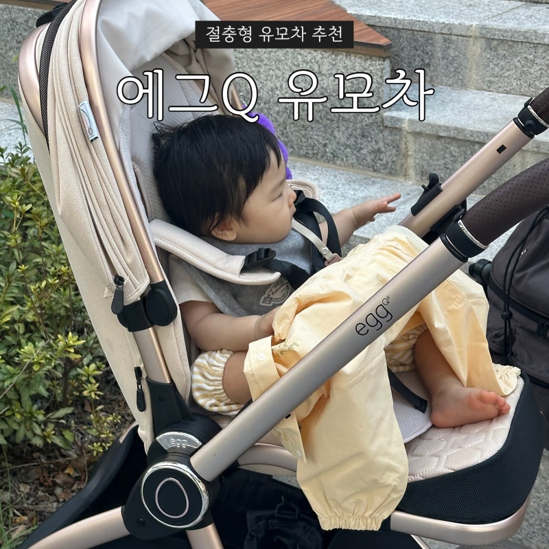 에그Q 절충형 유모차 가을 산책 직접 사용해본 리얼 후기