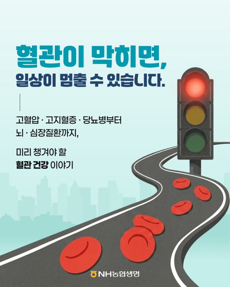 뇌경색 치료비, 진단비만 준비하면 충분할까요?(feat.혈관튼튼 NH건강보험NEW)
