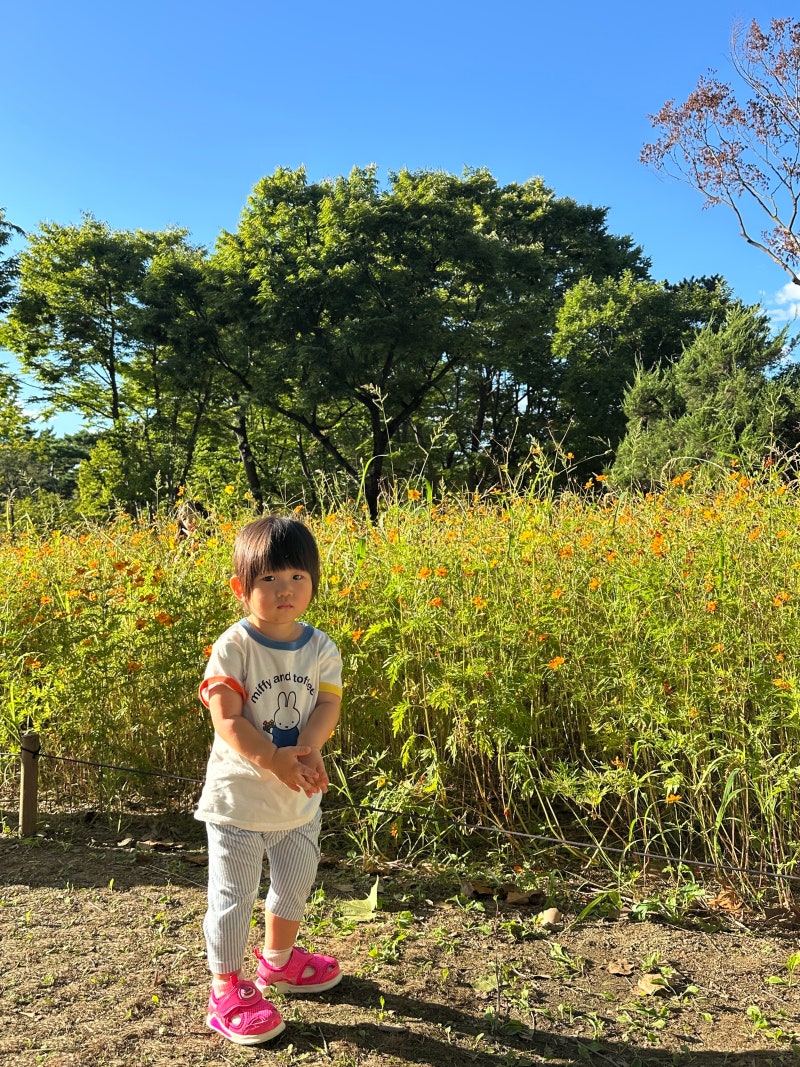 24개월 아기와 주말 서울어린이대공원 방문 구의문 주차장 꿀팁부터 동물원 코스까지