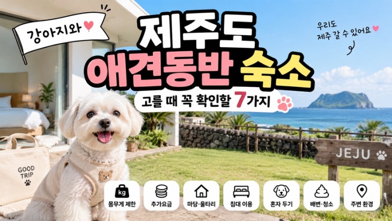 제주도 애견동반 숙소 고를 때 꼭 확인할 7가지｜강아지와 제주여행 준비