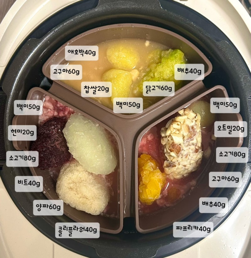 10개월 아기 후기이유식 식단｜밥솥이유식 3일치 레시피 소고기·닭고기 메뉴ෆ