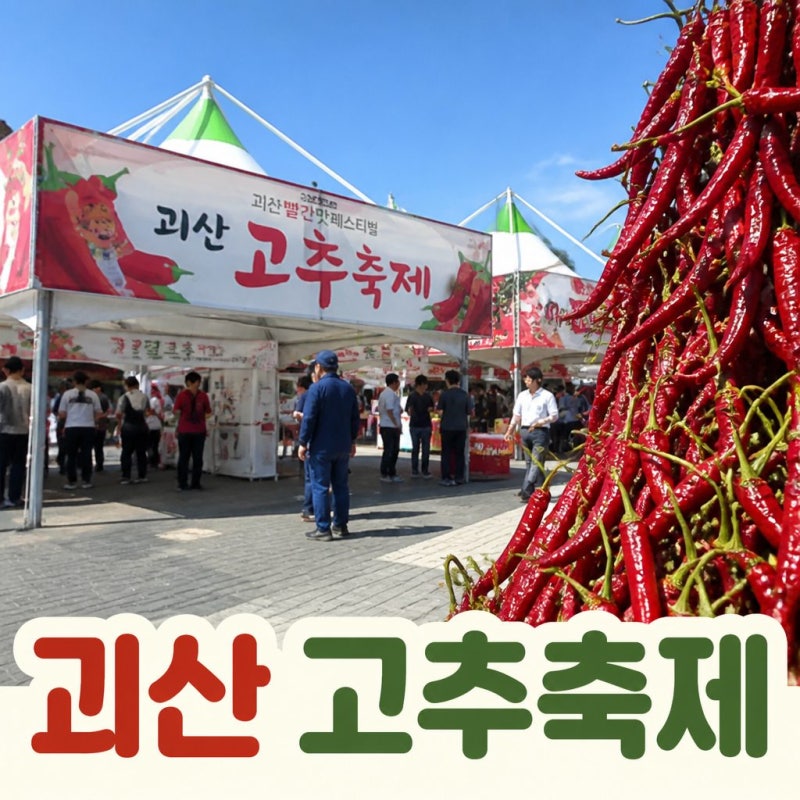 괴산 고추축제 일정과 매운맛 즐기는 법 총정리
