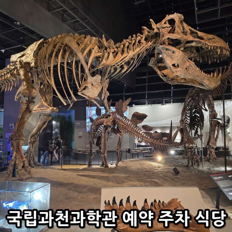 경기도 국립과천과학관 예약 푸드코트 주차 공룡 전시관 체험 아이랑 실내 가볼만한곳
