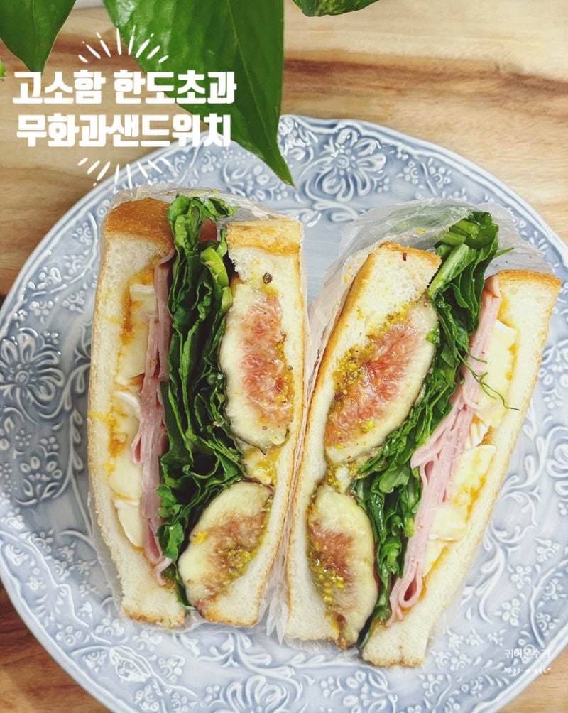 무화과 샌드위치 레시피 피스타치오 스프레드가 킥! 제철 무화과 먹는법