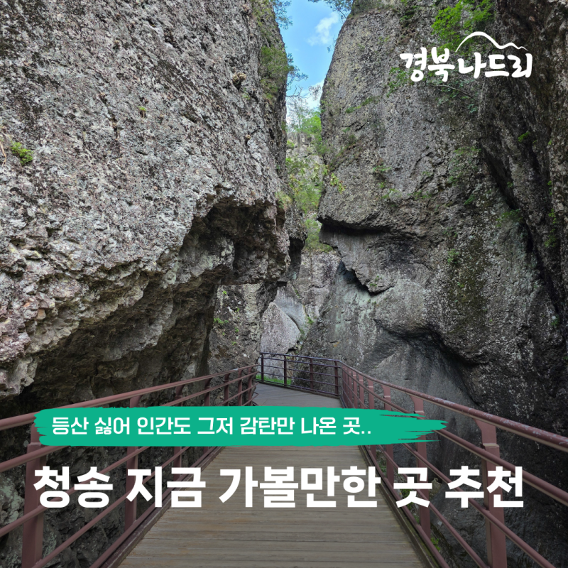 선선한 날씨, 지금 가기 좋은 청송 가볼만한곳 | 청송 주왕산, 용추폭포, 민박촌식당, 주산지