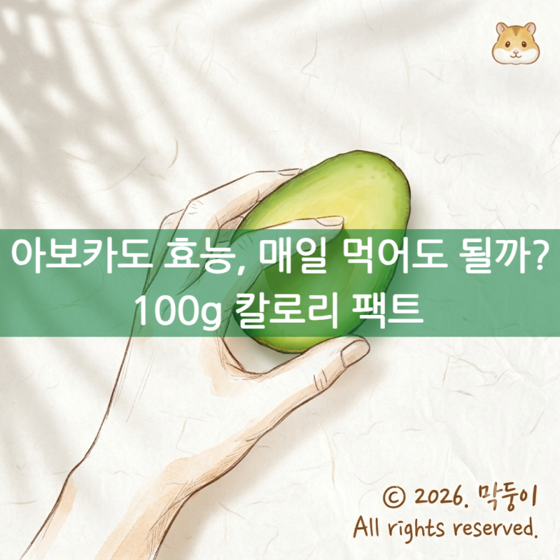 아보카도 효능, 매일 먹어도 될까? 100g 칼로리 팩트