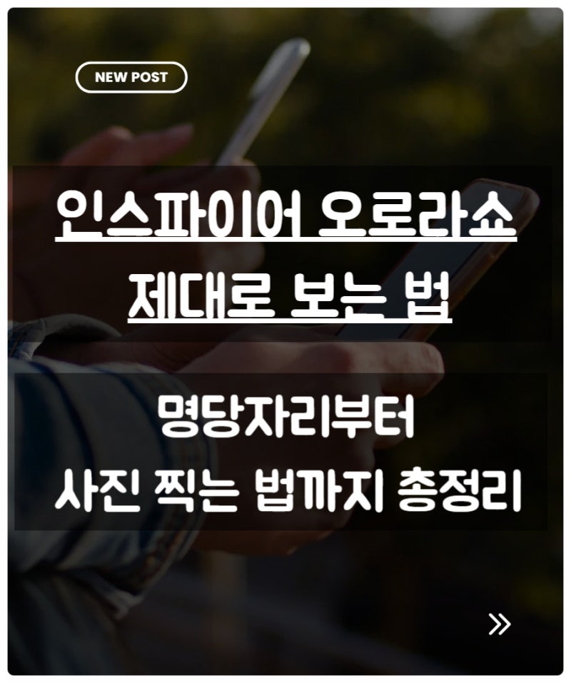 인스파이어 오로라쇼 제대로 보는 법
