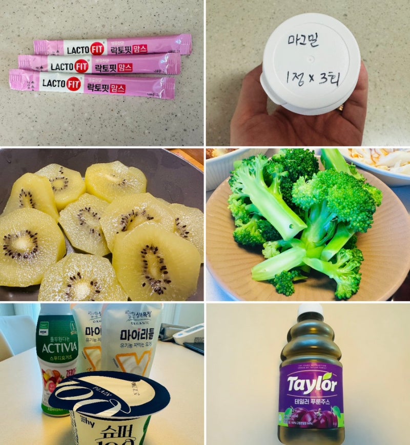 임신 24주차 임산부 변비 관장 후 일주일, 유산균·키위주스·푸룬·브로콜리 장 관리 식단 결....