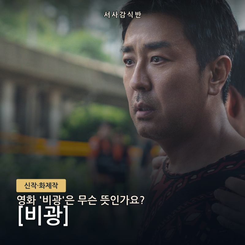 비광 뜻: 류승룡·하지원이 밝힌 화투패 한 장의 숨은 의미