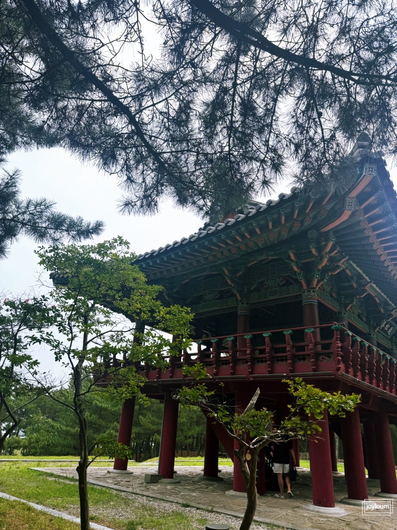 울진여행 가볼만한 곳｜울창한 소나무숲과 동해바다를 함께 만나는 힐링 명소 월송정