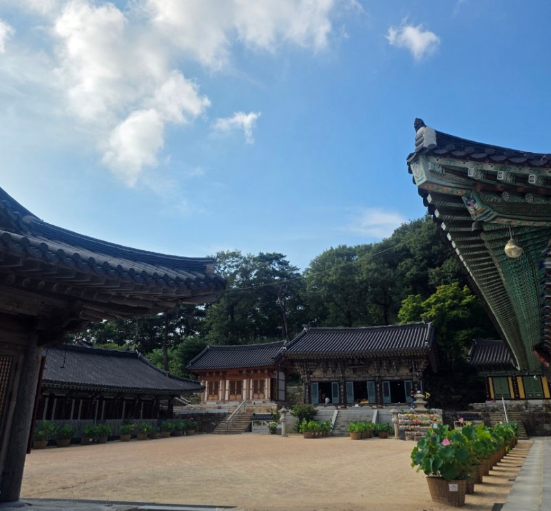 창원 가볼만한곳 성주사, 곰절 유래부터 산책 주차까지