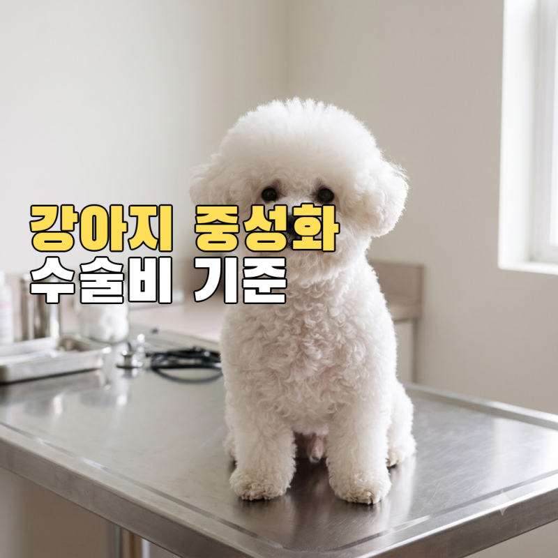 강아지 중성화 수술 비용, 병원마다 다른 이유가 있더군요